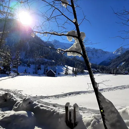 Eule * Sankt Kanzian am Klopeiner See