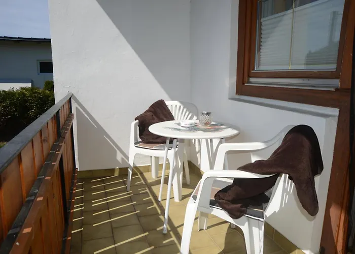 Eule Sankt Kanzian am Klopeiner See